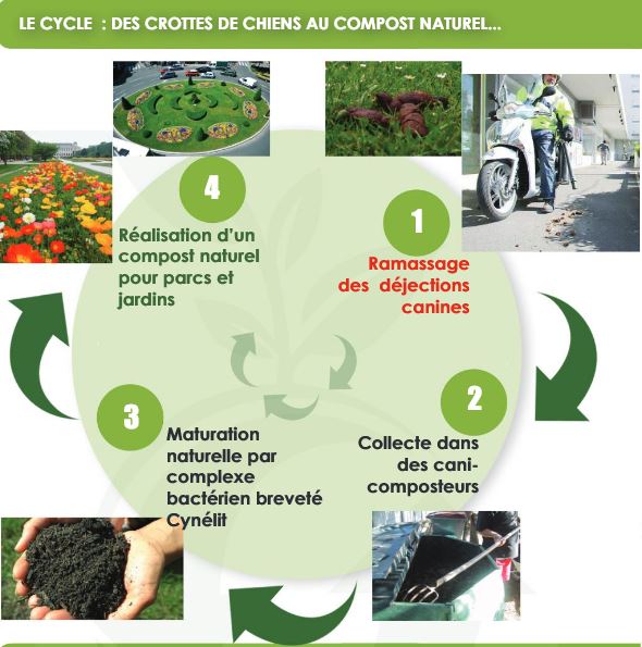 recyclage déjections canines